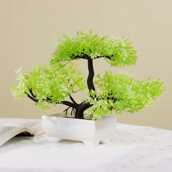 Kleine Bonsai Zimmerpflanze